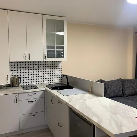 דירה Lampedis קובנה