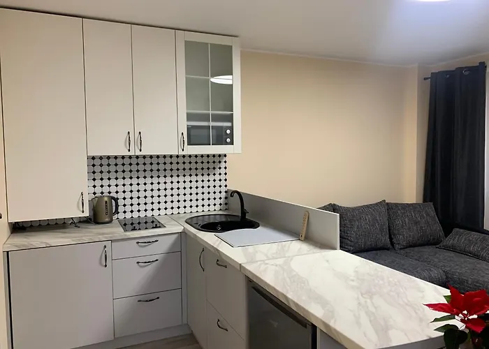 Lägenhet Lampedis Kaunas